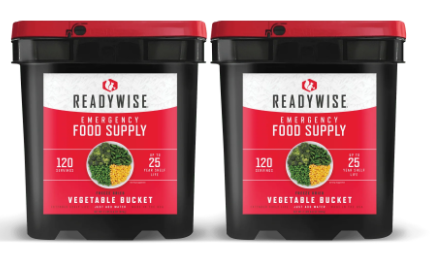 240 Serving Freeze Dried Vegetables (2, 120 serving buckets)